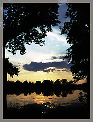 photo "Pond of Gold"