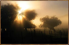 photo "Sunrise"