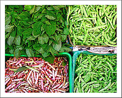 фото "Verdure"