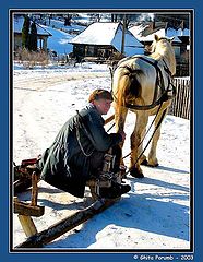 photo "Sledge 1"