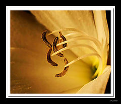 photo "---/---"