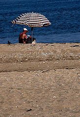 photo "quite alone"