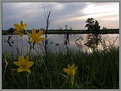 photo "Evening..."