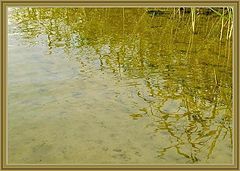 фото "Вода."