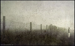 фото "Fenced"