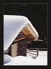photo "The picture from winter #2"