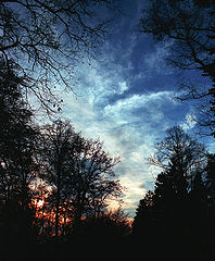 photo "dark"