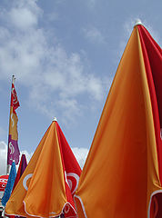 photo "RED"
