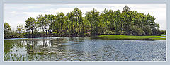 photo "Untitled photo"