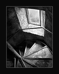 photo "Not smart ladder"