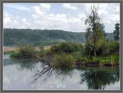 photo "Koion-river"