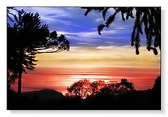 photo "Sky colors"