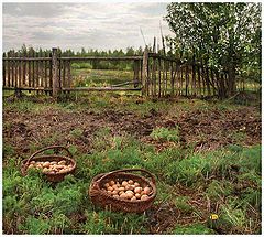 фото "Пейзажи Полесья. 3"