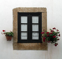 photo "Flowers and the window"