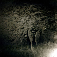 photo "#"