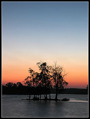 фото "Resting hour"