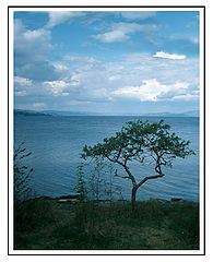 photo "Ocean view in Norway II"