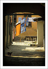 photo "Old court yard"