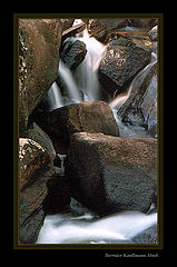 photo "Among Stones"