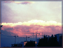 фото "Daemons On Nature"