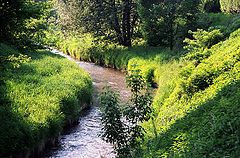 photo "my river"