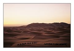 фото "The Caravan"