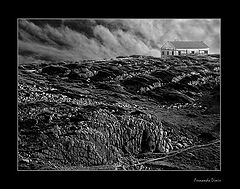 photo "In the high one"