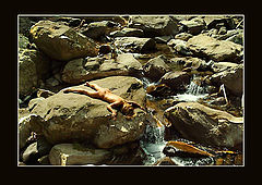 photo "14.07.07-1"