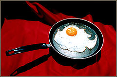 photo "Egg on the Red"