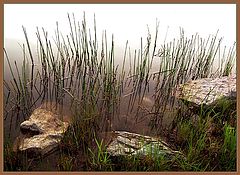 photo "Edges of Worlds"