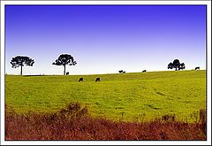 photo "country sight"