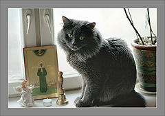 photo "Screenshot observer"