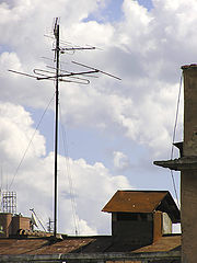 photo "That live on the roof-top"