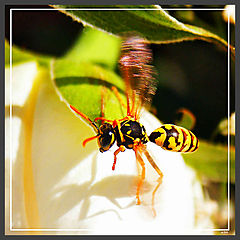 photo "Engine warm up..."