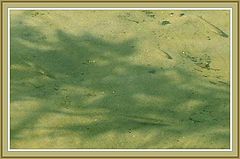 фото "Вода-2"