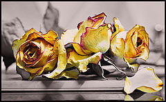 photo "@@@"
