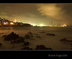фото "the night"