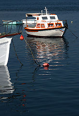 фото "boats"