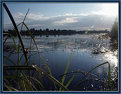 photo "Morning"