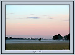 фото "розовый сон"