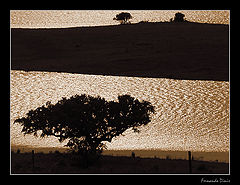 photo "Hot Summer"