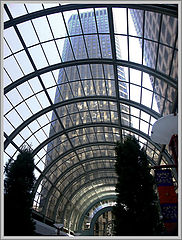фото "Through the glass ceiling"