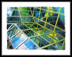 фото "Reflections"