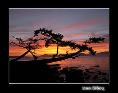 photo "Sunset #2"