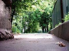 photo "The point of mouse`s view"