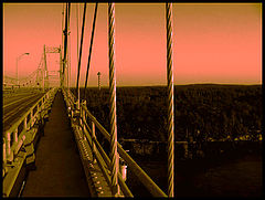 photo "Morning"