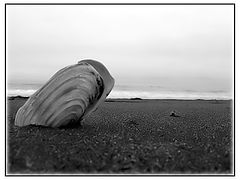 photo "OTHER LIFE"