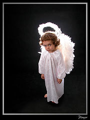 photo "The little Angel"