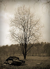 photo "Spring not for all"