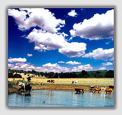 photo "summer on Balkane"